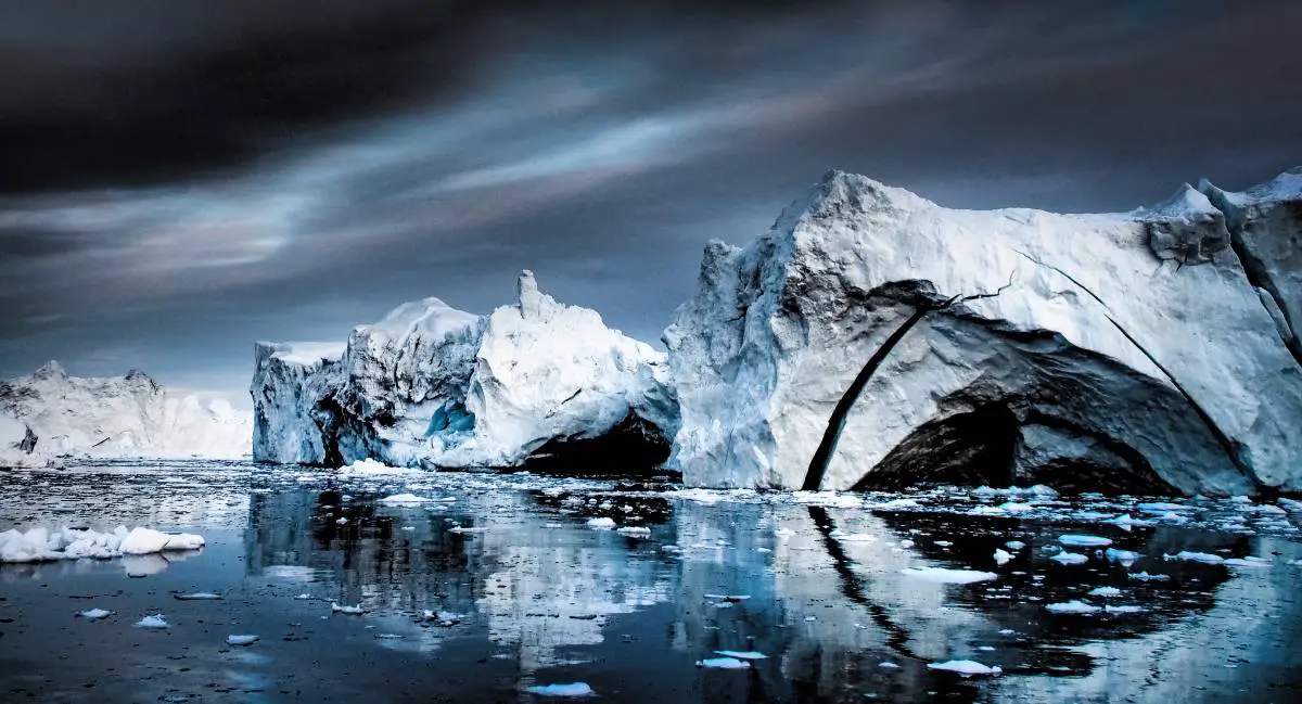 Une première: les scientifiques marins ont découvert la vie dans les profondeurs de la mer sous le pôle Nord - 3