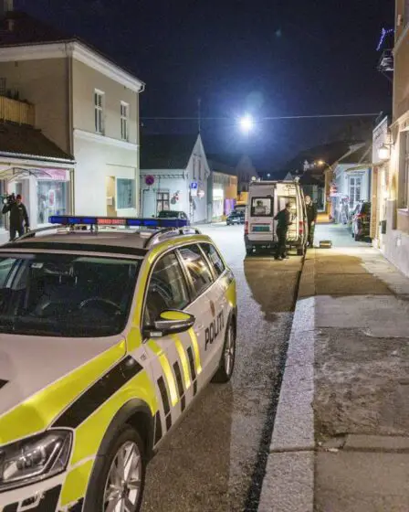 Une femme avoue avoir tué son frère à Halden - 16