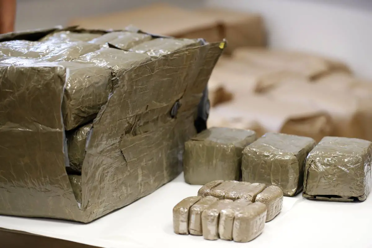 Buste record: la police norvégienne trouve plus de 700 kilos de haschich d'une valeur de 140 millions de couronnes dans une remorque à Skien - 3
