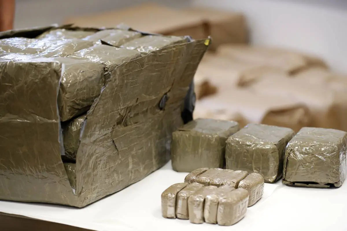 Buste record: la police norvégienne trouve plus de 700 kilos de haschich d'une valeur de 140 millions de couronnes dans une remorque à Skien 4 Buste record: la police norvégienne trouve plus de 700 kilos de haschich d'une valeur de 140 millions de couronnes dans une remorque à Skien - 3
