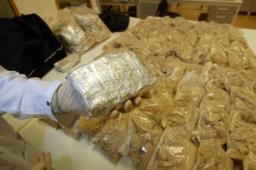 Oslo: quatre personnes condamnées à la prison pour possession de 31 kilos d'héroïne - 18