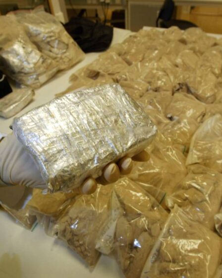 Oslo: quatre personnes condamnées à la prison pour possession de 31 kilos d'héroïne 8 Oslo: quatre personnes condamnées à la prison pour possession de 31 kilos d'héroïne - 7