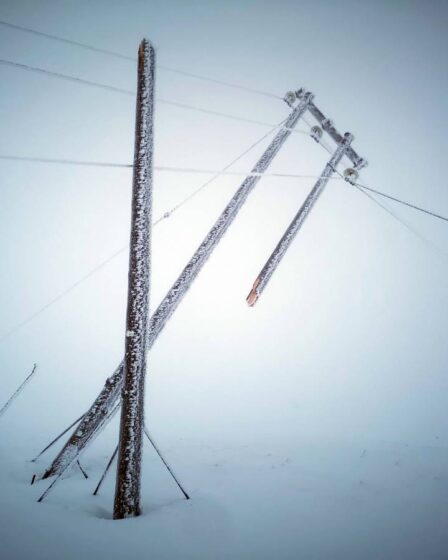 Au moins 16 mâts haute tension sont tombés à Rjukan. Il faudra plusieurs jours pour récupérer le courant 14 Au moins 16 mâts haute tension sont tombés à Rjukan. Il faudra plusieurs jours pour récupérer le courant - 13