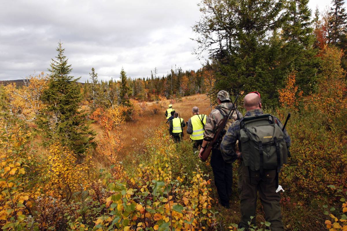 De plus en plus de femmes en Norvège sont des chasseuses 4 De plus en plus de femmes en Norvège sont des chasseuses - 3