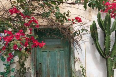 Les îles Canaries moins populaires parmi les Norvégiens - 20