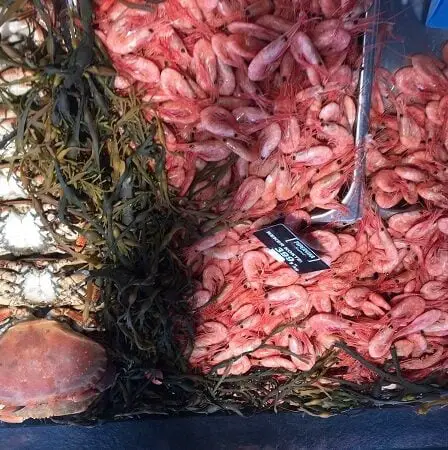 Le ministre des Pêches facilite les ventes de crevettes et de poisson au quai - 17