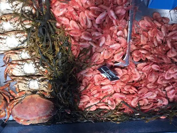 Le ministre des Pêches facilite les ventes de crevettes et de poisson au quai 6 Le ministre des Pêches facilite les ventes de crevettes et de poisson au quai - 5