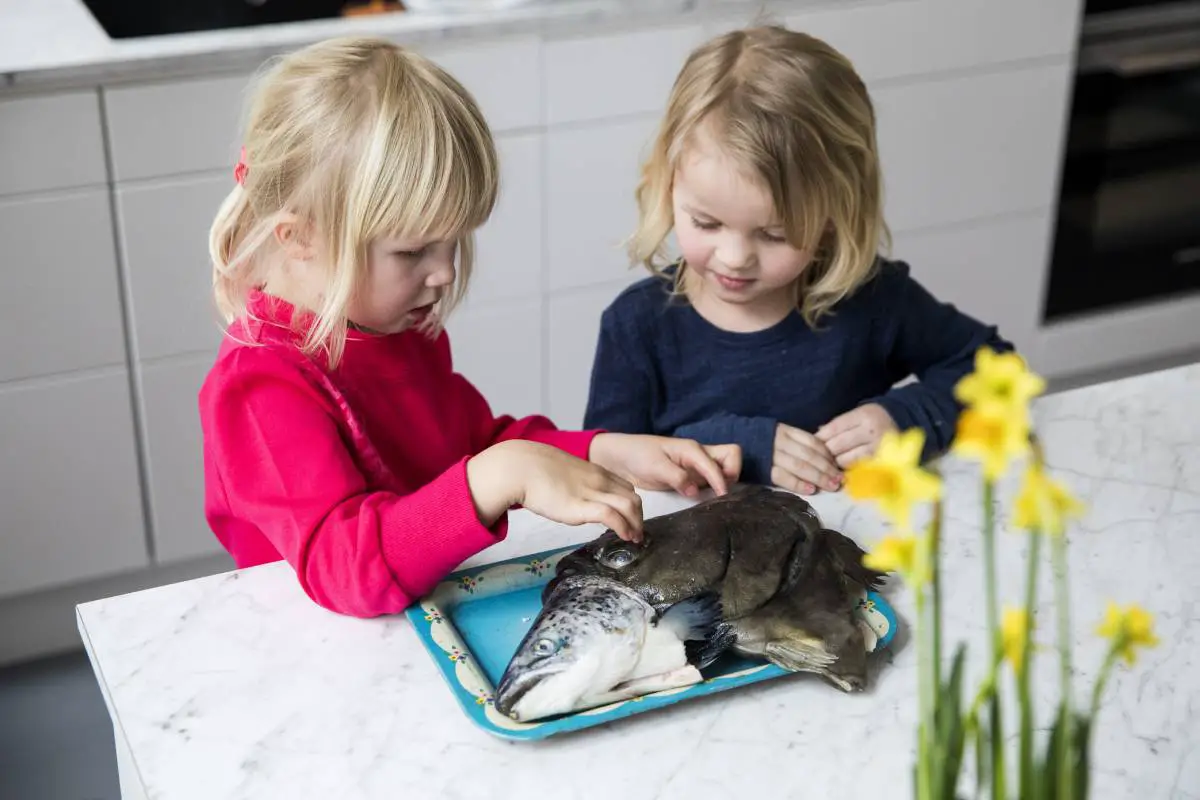Le ministre norvégien de la Pêche veut utiliser 13 millions de couronnes pour inciter plus de jeunes à manger du poisson 4 Le ministre norvégien de la Pêche veut utiliser 13 millions de couronnes pour inciter plus de jeunes à manger du poisson - 3