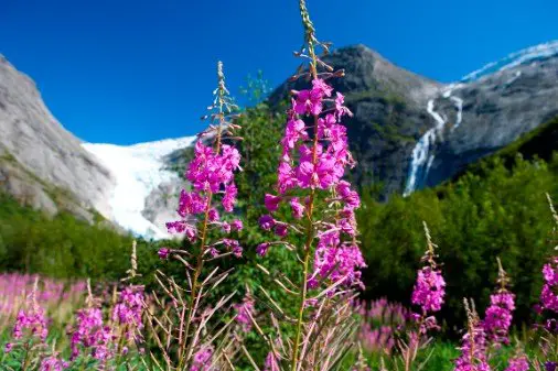 La porte d'entrée des glaciers 4 La porte d'entrée des glaciers - 3
