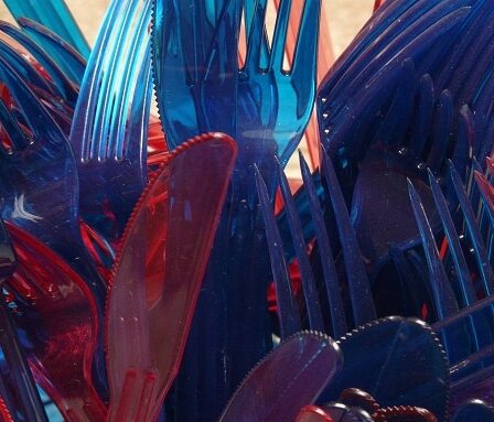 Le département de l'environnement interdira les couverts en plastique 8 Le département de l'environnement interdira les couverts en plastique - 7