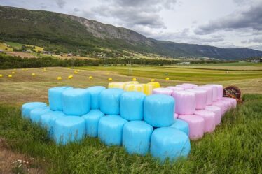 Le gouvernement accordera des exemptions aux règles Corona pour les travailleurs étrangers dans l'agriculture - 18