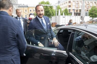Le prince héritier prône plusieurs câbles électriques norvégiens à l'étranger - 18