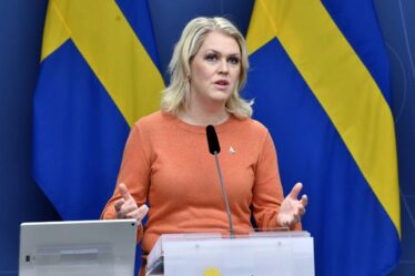 La Suède envisage d'emprunter du personnel de santé aux pays voisins: "Le temps presse. Nous avons besoin d'aide" - 20