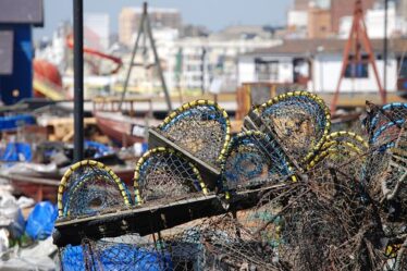 Limitations de la pêche au homard - Norway Today - 18