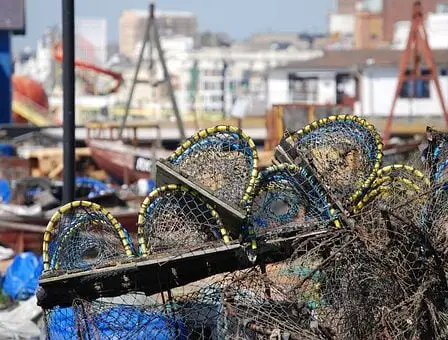 Limitations de la pêche au homard - Norway Today 2 Limitations de la pêche au homard - Norway Today - 1