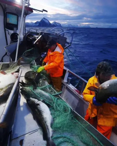 4000 travailleurs saisonniers viennent aux Lofoten pour la saison de pêche malgré un chômage record - 19