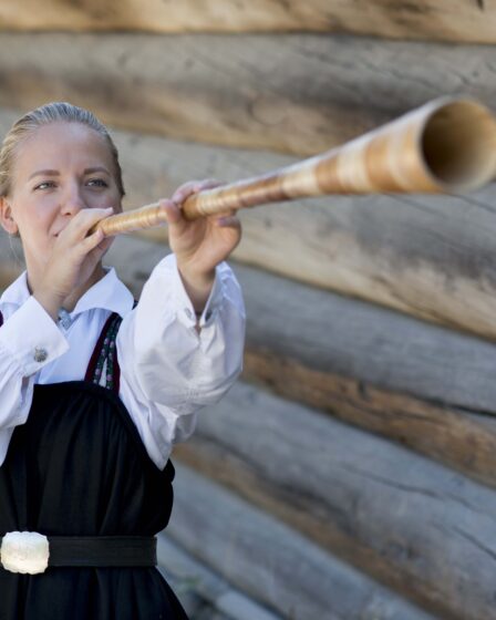 Musée folklorique norvégien - La Norvège aujourd'hui 30 Musée folklorique norvégien - La Norvège aujourd'hui - 29
