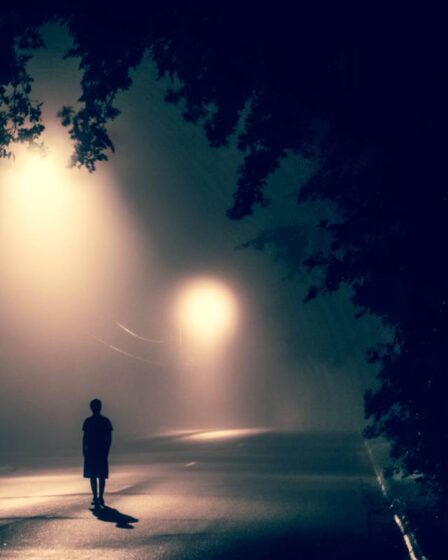 La moitié des jeunes Norvégiens âgés de 18 à 29 ans se sentaient seuls ces derniers temps, selon une étude 30 La moitié des jeunes Norvégiens âgés de 18 à 29 ans se sentaient seuls ces derniers temps, selon une étude - 29