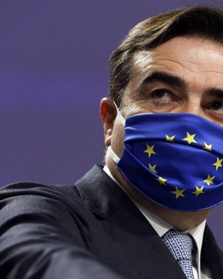 Fonctionnaires de l'UE: le vaccin corona sera un cadeau de Noël à tous les Européens 17 Fonctionnaires de l'UE: le vaccin corona sera un cadeau de Noël à tous les Européens - 16