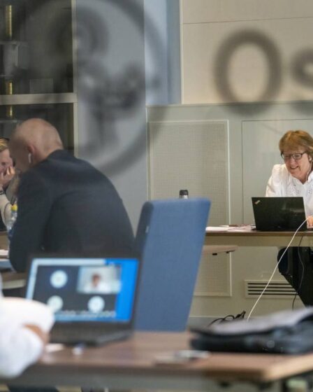 Quatre entreprises publiques sur cinq en Norvège affirment que la pandémie a accru la numérisation 17 Quatre entreprises publiques sur cinq en Norvège affirment que la pandémie a accru la numérisation - 16