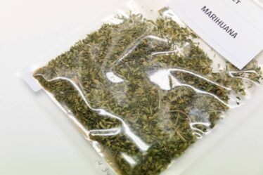 Les douanes norvégiennes ont saisi 260% plus de marijuana en 2020 que l'année précédente - 16
