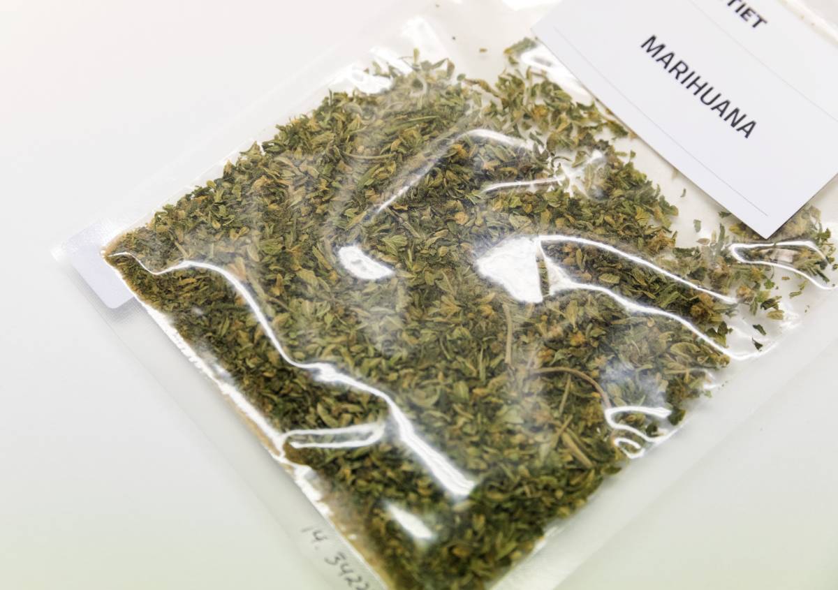 Les douanes norvégiennes ont saisi 260% plus de marijuana en 2020 que l'année précédente 4 Les douanes norvégiennes ont saisi 260% plus de marijuana en 2020 que l'année précédente - 3