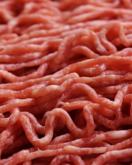 Publication d'un rapport sur les gains de température climatique liés à la production de viande 14 Publication d'un rapport sur les gains de température climatique liés à la production de viande - 13