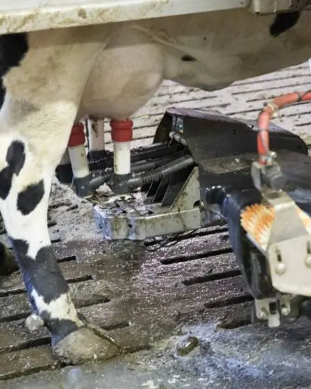 La Norvège décide de maintenir l'interdiction de la vente de lait non pasteurisé - 13