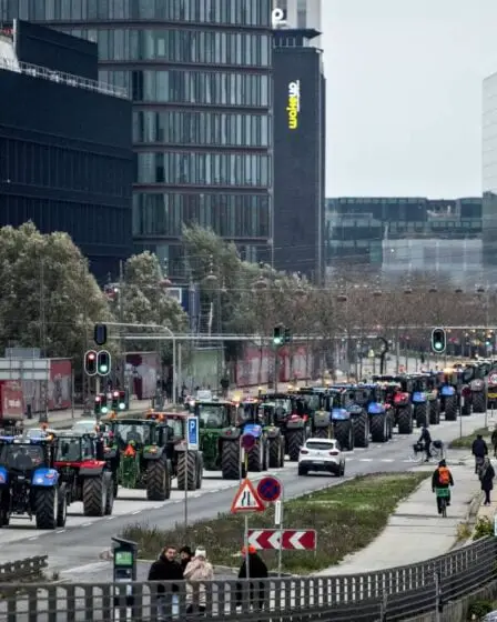 800 tracteurs ont participé à la protestation contre les mesures de mise à mort des visons au Danemark 2 800 tracteurs ont participé à la protestation contre les mesures de mise à mort des visons au Danemark - 1