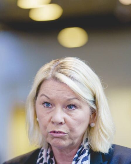 La Norvège interdit les machettes à partir du 1er juin 17 La Norvège interdit les machettes à partir du 1er juin - 16