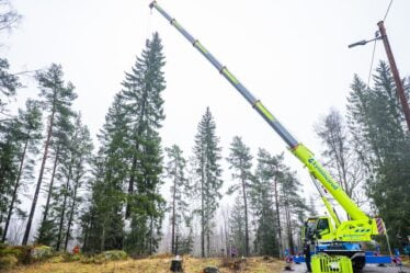 La tradition se poursuit: Oslo envoie un arbre de Noël de 23 mètres de haut à Londres - 20