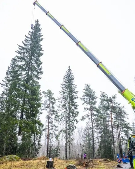 La tradition se poursuit: Oslo envoie un arbre de Noël de 23 mètres de haut à Londres 29 La tradition se poursuit: Oslo envoie un arbre de Noël de 23 mètres de haut à Londres - 28