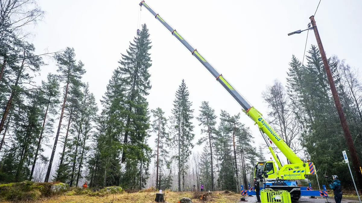 La tradition se poursuit: Oslo envoie un arbre de Noël de 23 mètres de haut à Londres - 3