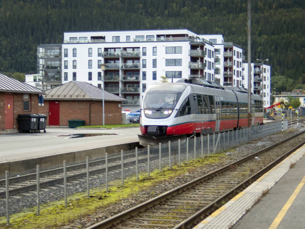 SSB : davantage de réfugiés restent dans la municipalité norvégienne dans laquelle ils deviennent résidents - 3