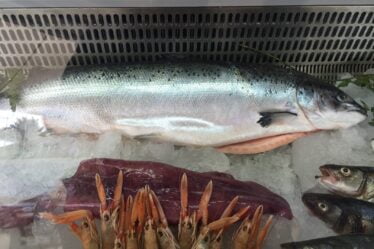 Le saumon norvégien ouvre de nouveaux marchés - 18