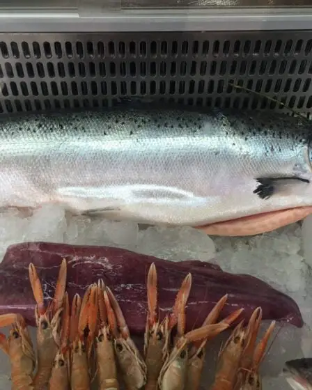 Les exportations de produits de la mer s'élevaient à 94,5 milliards de NOK en 2017 2 Les exportations de produits de la mer s'élevaient à 94,5 milliards de NOK en 2017 - 1