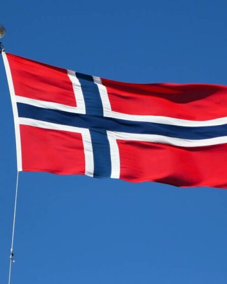 De plus en plus de Norvégiens sont retournés en Norvège pendant la pandémie - 1