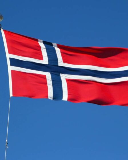 De plus en plus de Norvégiens sont retournés en Norvège pendant la pandémie 2 De plus en plus de Norvégiens sont retournés en Norvège pendant la pandémie - 1