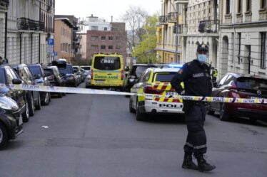 Une femme tuée dans une fusillade dans le centre d'Oslo - 20