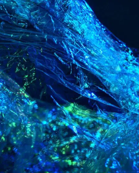 Des chercheurs découvrent des déchets plastiques au plus profond de Norvège 2 Des chercheurs découvrent des déchets plastiques au plus profond de Norvège - 1