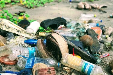 L'Agence norvégienne pour l'environnement veut interdire les produits en plastique jetables en 2021 - 16