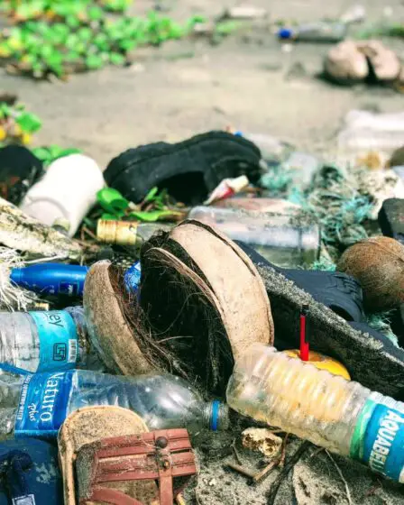 L'Agence norvégienne pour l'environnement veut interdire les produits en plastique jetables en 2021 8 L'Agence norvégienne pour l'environnement veut interdire les produits en plastique jetables en 2021 - 7