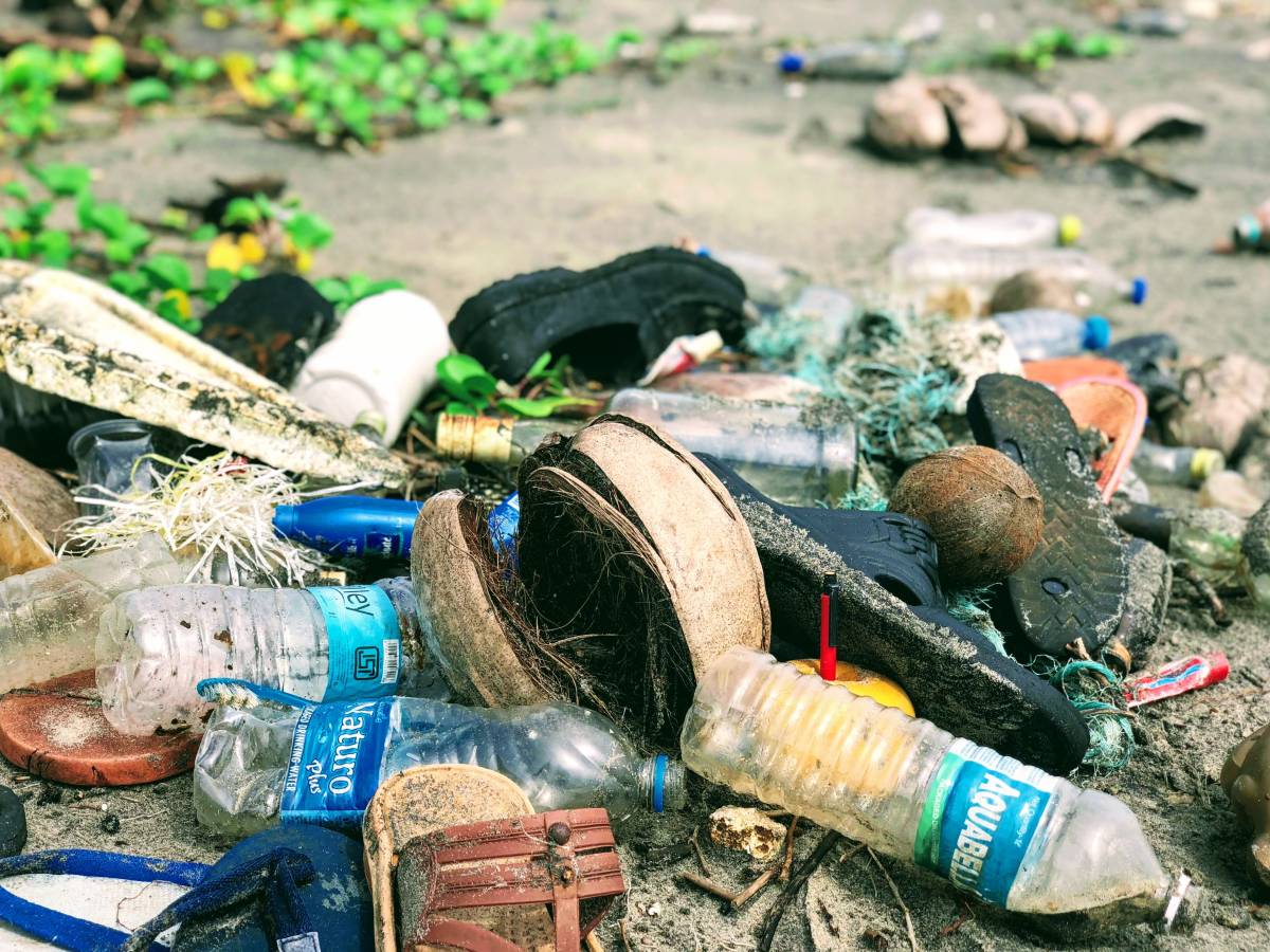 L'Agence norvégienne pour l'environnement veut interdire les produits en plastique jetables en 2021 - 3