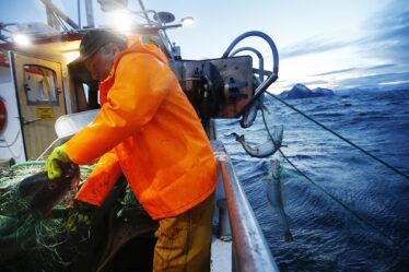 Plus de femmes pêcheurs - Norway Today - 20