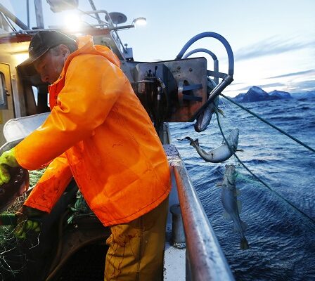 Plus de femmes pêcheurs - Norway Today 2 Plus de femmes pêcheurs - Norway Today - 1