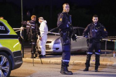 Au cours des deux derniers mois, il y a eu huit meurtres en Norvège. Voici ce que nous savons des cas - 20