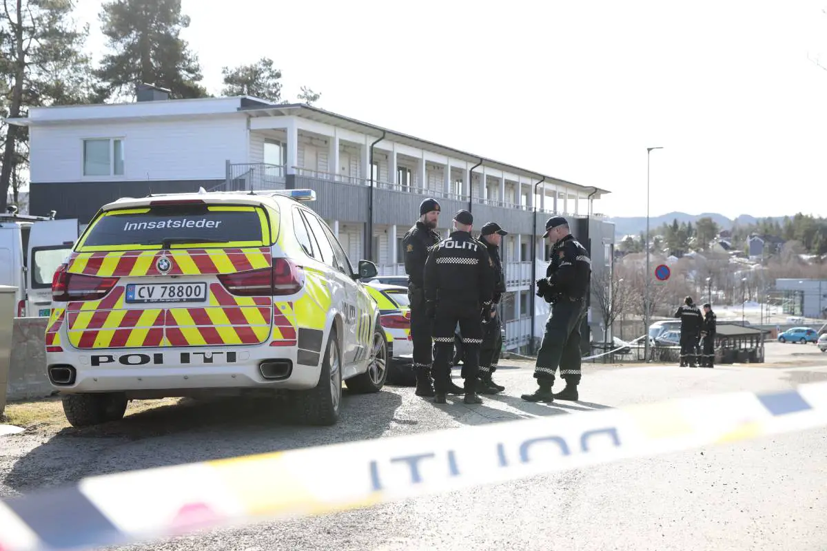 La police norvégienne a utilisé des armes à électrochocs 168 fois au cours des deux dernières années - 3