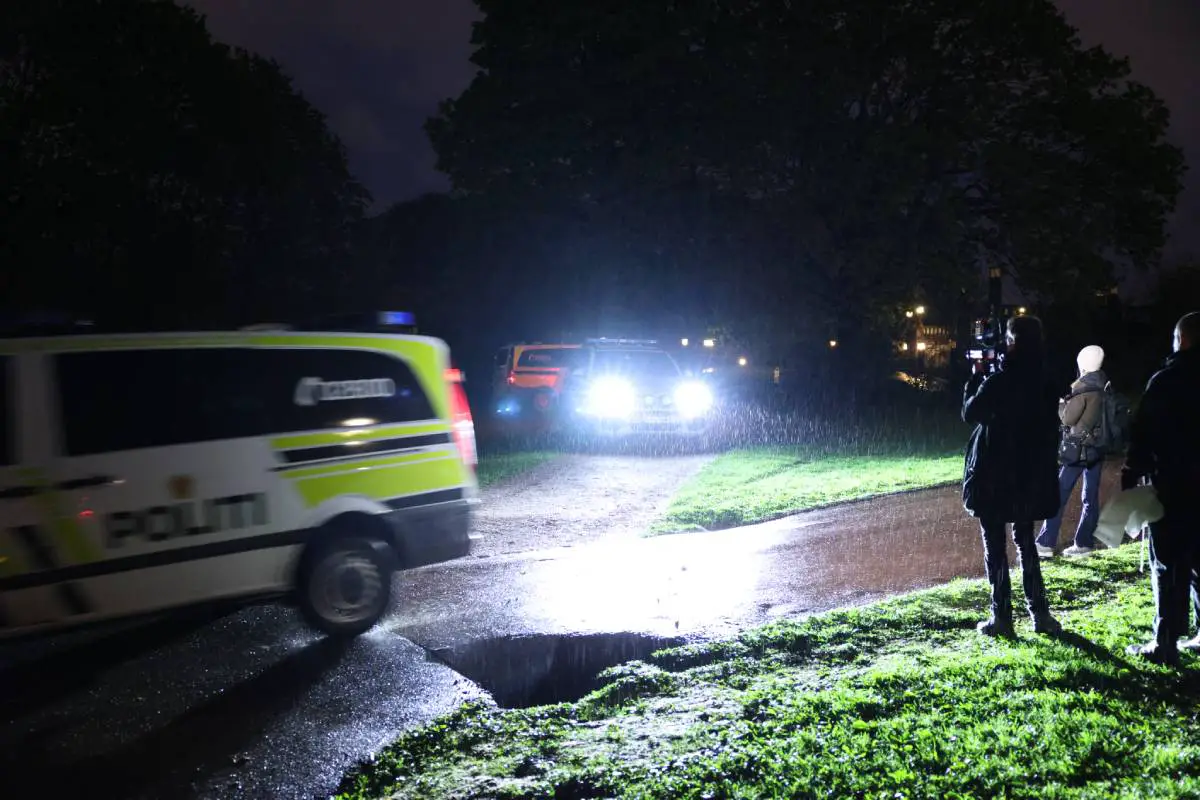PHOTO: deux jeunes hommes blessés après une bagarre à Frognerparken à Oslo - 7