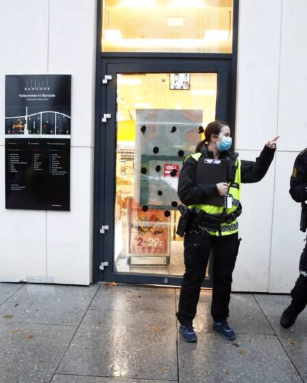 Un homme portant un masque facial et armé d'un couteau vole le kiosque Narvesen dans le centre d'Oslo - 4