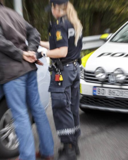 Un homme de Tromsø condamné à une amende de 30 000 couronnes pour avoir rompu la quarantaine et être allé au magasin 5 Un homme de Tromsø condamné à une amende de 30 000 couronnes pour avoir rompu la quarantaine et être allé au magasin - 4